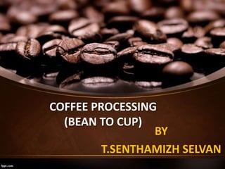 COFFEE PROCESSING
(BEAN TO CUP)
BY
T.SENTHAMIZH SELVAN
 