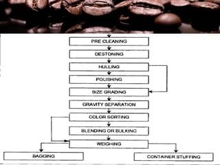 Coffee Processing Technology | PPTX