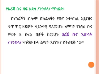 የአረጃ ቡና ዛፍ እደሳ /ጉንደላ/ ማካሄድ፤
በሃገራችን ብሎም በክልላችን የቡና አተካከል አያያዝና
ቁጥጥር ዘዴዎች ሳይንሳዊ ባለመሆኑ አማካኝ የንፅህ ቡና
ምርት 5 ኩ/ል በታች በመሆኑ ያረጀ ቡና እድሳት
/ጉንደላ/ ዋነኛው ቡና ልማት አያያዝና ስትራቴጅ ነው፡፡
 