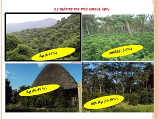 3.2 በኢትዮጽያ የበና ምርት አመራረት ዘይቤ
%
Åµ (8-10%)
kðL Åµ (30-35%)
zmÂêE (5-6%)
Åµ (50-55 %)
 