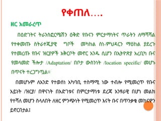 …
የቀጠለ .
ዘር አመራረጥ
በዕድገትና ትራንስፎርሜሽን ዕቅድ የቡናን ምርታማነትና ጥራትን ለማሻሻል
የተቀመጡ ስትራተጂያዊ ግቦች መካከል ስነ-ምህዳርን ማዕከል ያደረጉ
የተመረጡ የቡና ዝርያዎች አቅርቦት መኖር አንዱ ሲሆን በኢትዮጽያ አረቢካ ቡና
የመላመድ ችሎታ /Adaptation/ በቦታ ውስንነት /location specific/ መሆኑ
በጥናት ተረጋግጧል።
በመሆኑም ለአንድ የተወሰነ አካባቢ ተስማሚ ነው ተብሎ የሚመረጥ የቡና
አይነት /ዝርያ/ በዋናነት በእድገቱና በምርታማነቱ ደረጃ አንፃራዊ በሆነ መልክ
የተሻለ መሆን ስላለበት ለዘር ምንጭነት የሚመረጥ እናት ቡና በጥንቃቄ መከናዎን
ይኖርበታል፤
 