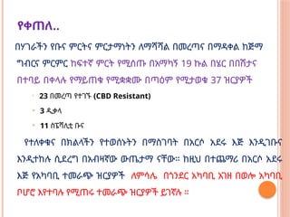 የቀጠለ..
በሃገራችን የቡና ምርትና ምርታማነትን ለማሻሻል በመረጣና በማዳቀል ከጅማ
ግብርና ምርምር ከፍተኛ ምርት የሚሰጡ በአማካኝ 19 ኩል በሄር በበሽታና
በተባይ በቀላሉ የማይጠቁ የሚቋቋሙ በጣዕም የሚታወቁ 37 ዝርያዎች

23 በመረጣ የተገኙ (CBD Resistant)
 3 ዲቃላ
 11 ስፔሻሊቲ ቡና
የተለቀቁና በክልላችን የተወሰኑትን በማስገባት በአርሶ አደሩ እጅ እንዲገቡና
እንዲተከሉ ሲደረግ በአብዛኛው ውጤታማ ናቸው። ከዚህ በተጨማሪ በአርሶ አደሩ
እጅ የአካባቢ ተመራጭ ዝርያዎች ለምሳሌ በጎንደር አካባቢ አገዘ በወሎ አካባቢ
ቦሆሮ እየተባሉ የሚጠሩ ተመራጭ ዝርያዎች ይገኛሉ ።
 