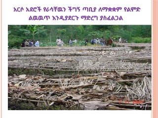 አርሶ አደሮች የራሳቸዉን ችግኝ ጣቢያ ለማቋቋም የልምድ
ልዉዉጥ እንዲያደርጉ ማድረግ ያስፈልጋል
 