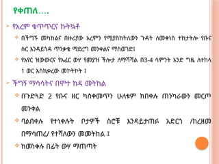 …
የቀጠለ .
 የአረም ቁጥጥርና ኩትኳቶ
 በችግኙ መካከልና በዙሪያው አረምን የሚያስከትለውን ጉዳት ለመቀነስ ተከታትሎ የቡና
ስር እንዳይጎዳ ጥንቃቄ ማድረግ መንቀልና ማስወገድ፤
 የአየር ዝውውርና የአፈር ውሃ የመያዝ ችሎታ ለማሻሻል በ3-4 ሳምንት አንድ ግዜ ለተከላ
1 ወር እስኪቀረው መኮትኮት ፤
 ችግኝ ማሳሳትና በሞተ ከዳ መትከል
 በጉድጓድ 2 የቡና ዘር ካስቀመጥን ሁለቱም ከበቀሉ ጠንካራውን መርጦ
መንቀል
 ባልበቀሉ የተነቀሉት ቦታዎች ስሮቹ እንዳይታጠፉ አድርጎ /ከረዘመ
በማሳጠረ/ የተሻለውን መመትከል ፤
 ከመነቀሉ በፊት ውሃ ማጠጣት
 