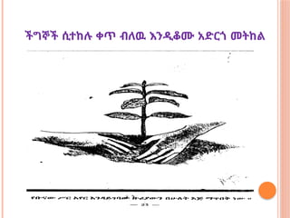 ችግኞች ሲተከሉ ቀጥ ብለዉ እንዲቆሙ አድርጎ መትከል
 