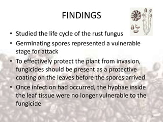 FINDINGS
• Studied the life cycle of the rust fungus
• Germinating spores represented a vulnerable
stage for attack
• To effectively protect the plant from invasion,
fungicides should be present as a protective
coating on the leaves before the spores arrived
• Once infection had occurred, the hyphae inside
the leaf tissue were no longer vulnerable to the
fungicide
13
 