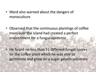 • Ward also warned about the dangers of
monoculture
• Observed that the continuous plantings of coffee
trees over the island had created a perfect
environment for a fungus epidemic
• He found no less than 51 different fungal spores
on the coffee plant which he was able to
germinate and grow on a sugar gelatin substrate
14
 