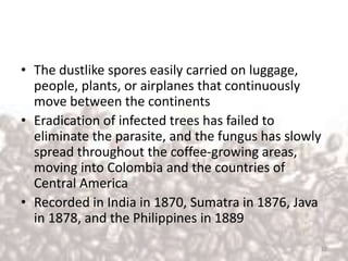 • The dustlike spores easily carried on luggage,
people, plants, or airplanes that continuously
move between the continents
• Eradication of infected trees has failed to
eliminate the parasite, and the fungus has slowly
spread throughout the coffee-growing areas,
moving into Colombia and the countries of
Central America
• Recorded in India in 1870, Sumatra in 1876, Java
in 1878, and the Philippines in 1889
22
 