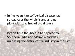 • In five years the coffee-leaf disease had
spread over the whole island and no
plantation was free of the disease
• By this time the disease had spread to
Southern India and Malaysia and was
menacing the entire coffee industry in the East
9
 
