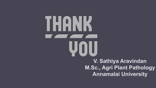 V. Sathiya Aravindan
M.Sc., Agri Plant Pathology
Annamalai University
 