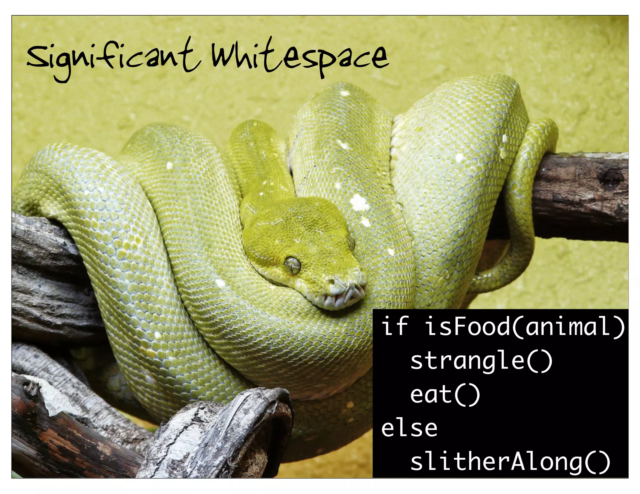 Significant Whitespace



                     if isFood(animal)
                       strangle()
                       eat()
                     else
                       slitherAlong()22
 