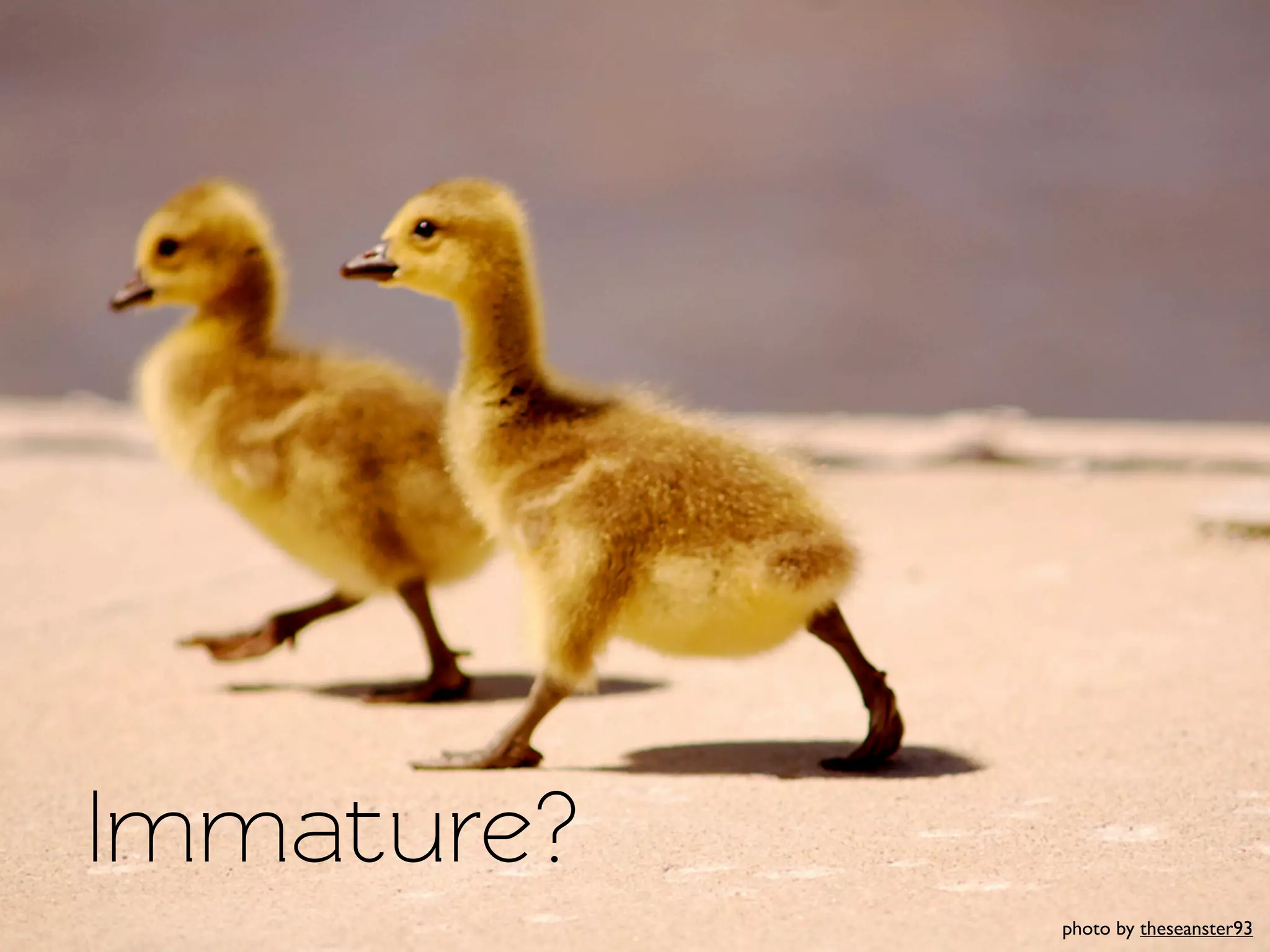 Immature?
            photo by theseanster93
 