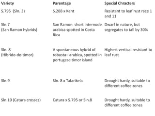 Variety Parentage Special Chracters
S.795 (Sln. 3) S.288 x Kent Resistant to leaf rust race 1
and 11
Sln.7
(San Ramon hybrids)
San Ramon short internode
arabica spotted in Costa
Rica
Dwarf in nature, but
segregates to tall by 30%
Sln. 8
(Hibrido-de-timor)
A spontaneous hybrid of
robusta– arabica, spotted in
portugese timor island
Highest vertical resistant to
leaf rust
Sln.9 Sln. 8 x Tafarikela Drought hardy, suitable to
different coffee zones
Sln.10 (Catura crosses) Catura x S.795 or Sln.8 Drought hardy, suitable to
different coffee zones
 