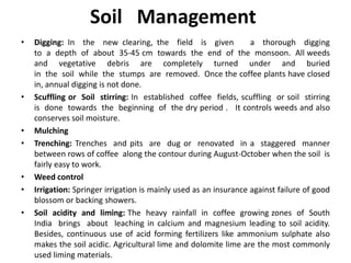 Soil Management
• Digging: In the new clearing, the field is given a thorough digging
to a depth of about 35-45 cm towards the end of the monsoon. All weeds
and vegetative debris are completely turned under and buried
in the soil while the stumps are removed. Once the coffee plants have closed
in, annual digging is not done.
• Scuffling or Soil stirring: In established coffee fields, scuffling or soil stirring
is done towards the beginning of the dry period . It controls weeds and also
conserves soil moisture.
• Mulching
• Trenching: Trenches and pits are dug or renovated in a staggered manner
between rows of coffee along the contour during August-October when the soil is
fairly easy to work.
• Weed control
• Irrigation: Springer irrigation is mainly used as an insurance against failure of good
blossom or backing showers.
• Soil acidity and liming: The heavy rainfall in coffee growing zones of South
India brings about leaching in calcium and magnesium leading to soil acidity.
Besides, continuous use of acid forming fertilizers like ammonium sulphate also
makes the soil acidic. Agricultural lime and dolomite lime are the most commonly
used liming materials.
 