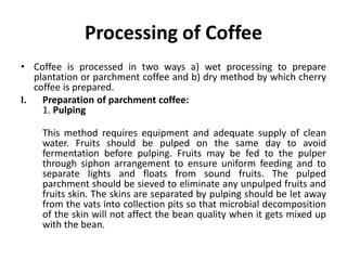 Processing of Coffee
• Coffee is processed in two ways a) wet processing to prepare
plantation or parchment coffee and b) dry method by which cherry
coffee is prepared.
I. Preparation of parchment coffee:
1. Pulping
This method requires equipment and adequate supply of clean
water. Fruits should be pulped on the same day to avoid
fermentation before pulping. Fruits may be fed to the pulper
through siphon arrangement to ensure uniform feeding and to
separate lights and floats from sound fruits. The pulped
parchment should be sieved to eliminate any unpulped fruits and
fruits skin. The skins are separated by pulping should be let away
from the vats into collection pits so that microbial decomposition
of the skin will not affect the bean quality when it gets mixed up
with the bean.
 