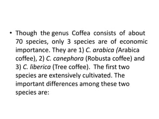 • Though the genus Coffea consists of about
70 species, only 3 species are of economic
importance. They are 1) C. arabica (Arabica
coffee), 2) C. canephora (Robusta coffee) and
3) C. liberica (Tree coffee). The first two
species are extensively cultivated. The
important differences among these two
species are:
 