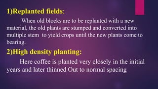 1)Replanted fields:
When old blocks are to be replanted with a new
material, the old plants are stumped and converted into
multiple stem to yield crops until the new plants come to
bearing.
2)High density planting:
Here coffee is planted very closely in the initial
years and later thinned Out to normal spacing
 