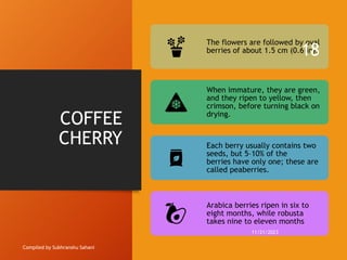COFFEE
CHERRY
Compiled by Subhranshu Sahani
The flowers are followed by oval
berries of about 1.5 cm (0.6 in).
When immature, they are green,
and they ripen to yellow, then
crimson, before turning black on
drying.
Each berry usually contains two
seeds, but 5–10% of the
berries have only one; these are
called peaberries.
Arabica berries ripen in six to
eight months, while robusta
takes nine to eleven months
11/21/2023
18
 
