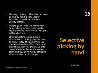 Selective
picking by
hand
• Although picking coffee cherries one-
by-one by hand is very labour
intensive, it produces the best
quality coffees.
• Pickers go out into the farms with
baskets hung around their waists,
ideally looking to pick only the ripest
coffee cherries.
• Strip harvesting is one manual
alternative to picking cherries one-
by-one. Firstly, the picker will lay
canvas below the coffee plant, and
then the picker will then grab onto
one of the branches of the coffee
plant and pull downwards, stripping
all of the cherries in one go.
Compiled by Subhranshu Sahani
11/21/2023
25
 
