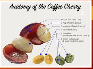 Compiled by Subhranshu Sahani 11/21/2023
29
 