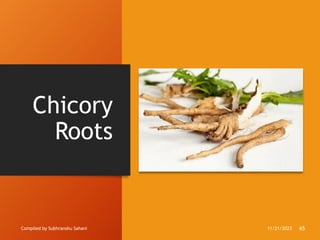 Chicory
Roots
Compiled by Subhranshu Sahani 11/21/2023 65
 