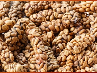 Compiled by Subhranshu Sahani 11/21/2023
75
 