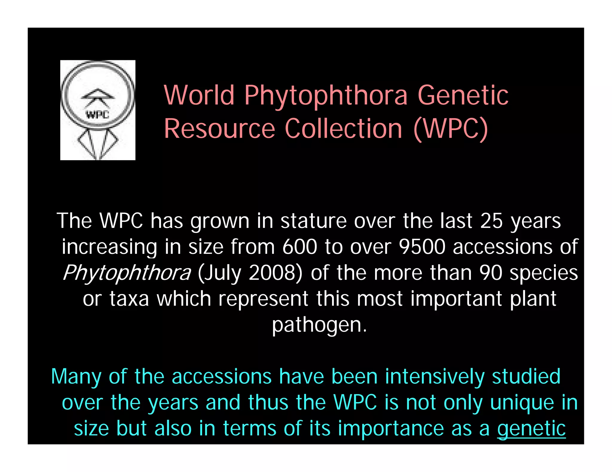 Coffey Fighting Phytophthora 08