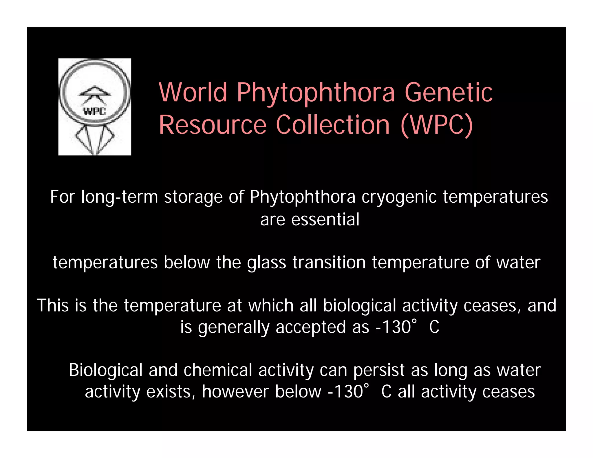 Coffey Fighting Phytophthora 08