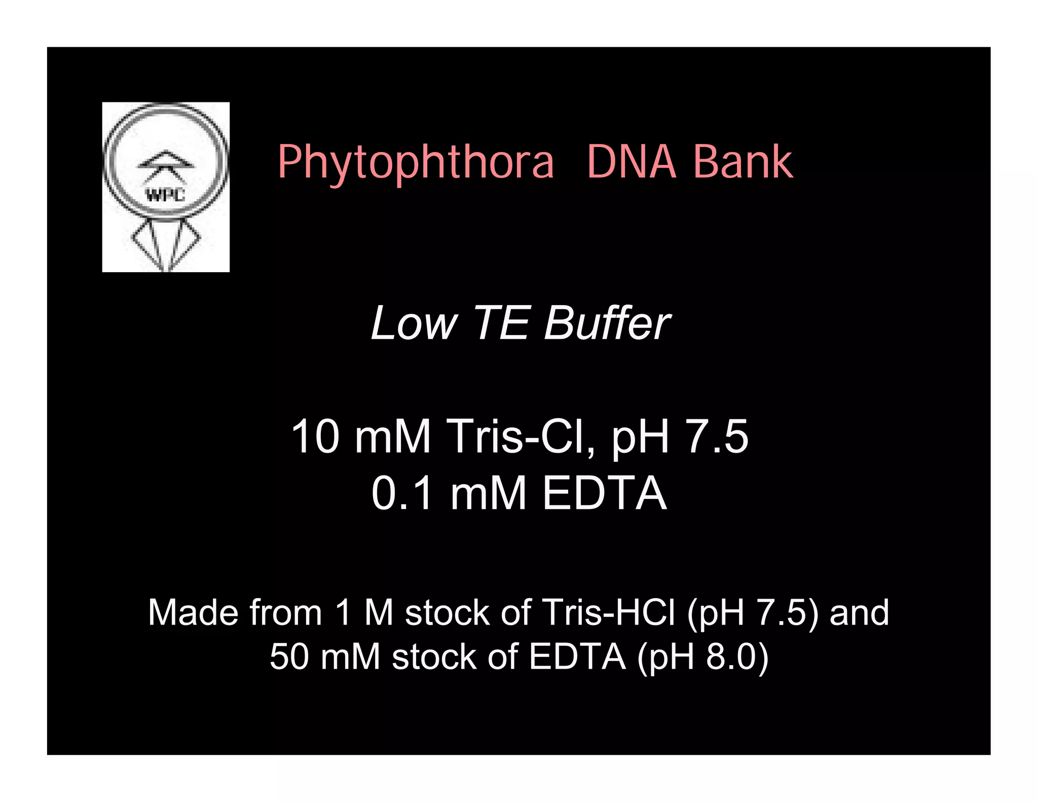 Coffey Fighting Phytophthora 08