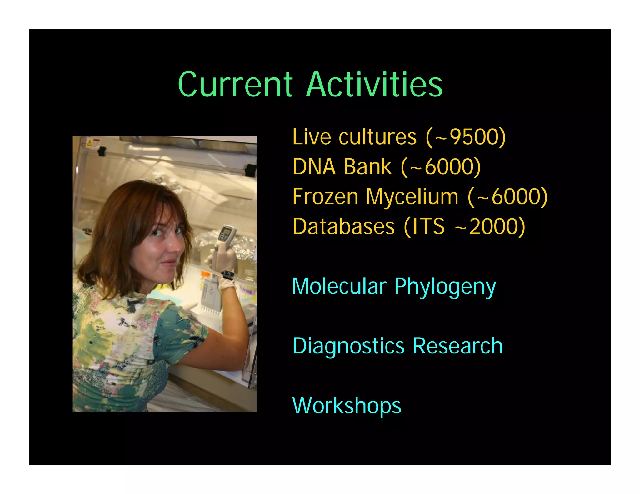 Coffey Fighting Phytophthora 08