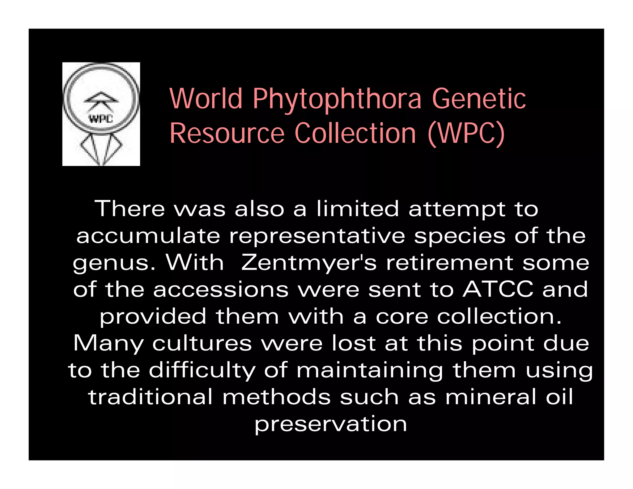 Coffey Fighting Phytophthora 08