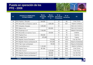 Puesta en operación de
los PFE - 2006
Puesta en operación de los
PFE - 2006
 