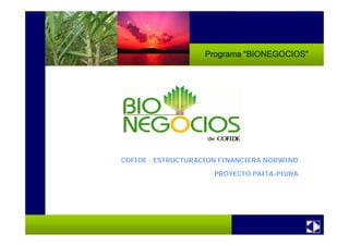 Programa “BIONEGOCIOS”
COFIDE : ESTRUCTURACION FINANCIERA NORWIND
PROYECTO PAITA-PIURA
 