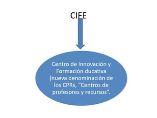 CIFE
 