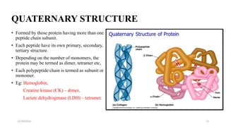 QUATERNARY STRUCTURE
• Formed by those protein having more than one
peptide chain subunit.
• Each peptide have its own primary, secondary,
tertiary structure.
• Depending on the number of monomers, the
protein may be termed as dimer, tetramer etc,
• Each polypeptide chain is termed as subunit or
monomer.
• Eg: Hemoglobin,
Creatine kinase (CK) – dimer,
Lactate dehydrogenase (LDH) – tetramer.
11/30/2023 13
 