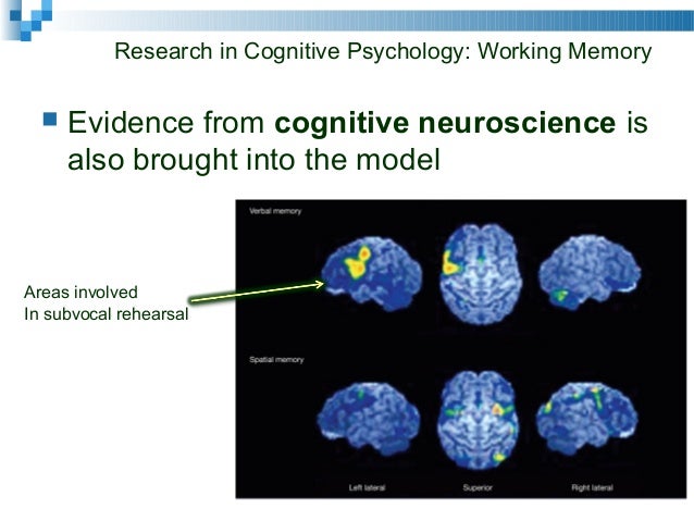 Cog5 lecppt chapter01