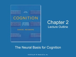 © 2013 by W. W. Norton & Co., Inc.
The Neural Basis for Cognition
Chapter 2
Lecture Outline
 