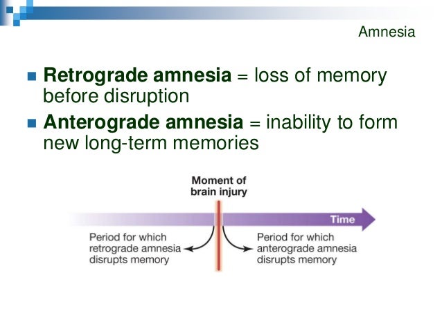 cog5 lecppt chapter06 the inability to remember past events is as the inability to form new memories is
