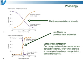 Phonology
Continuous variation of sounds
are filtered to
produce clear phonemes
Categorical perception
Our categorization of phonemes shows
abrupt boundaries, even when there is
no corresponding abrupt change in the
stimuli themselves.
 
