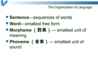 The Organization of Language
 Sentence—sequences of words
 Word—smallest free form
 Morpheme （詞素）— smallest unit of
meaning
 Phoneme （音素）— smallest unit of
sound
 