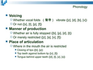 Phonology
 Voicing
 Whether vocal folds （聲帶） vibrate ([z], [d], [b], [v])
 Or not ([s], [t], [p], [f])
 Manner of production
 Whether air is fully stopped ([b], [p], [d], [t])
 Or merely restricted ([z], [s], [v], [f])
 Place of articulation
 Where in the mouth the air is restricted
 Closing of lips ([b], [p])
 Top teeth against bottom lip ([v], [f])
 Tongue behind upper teeth ([d], [t], [z], [s])
 