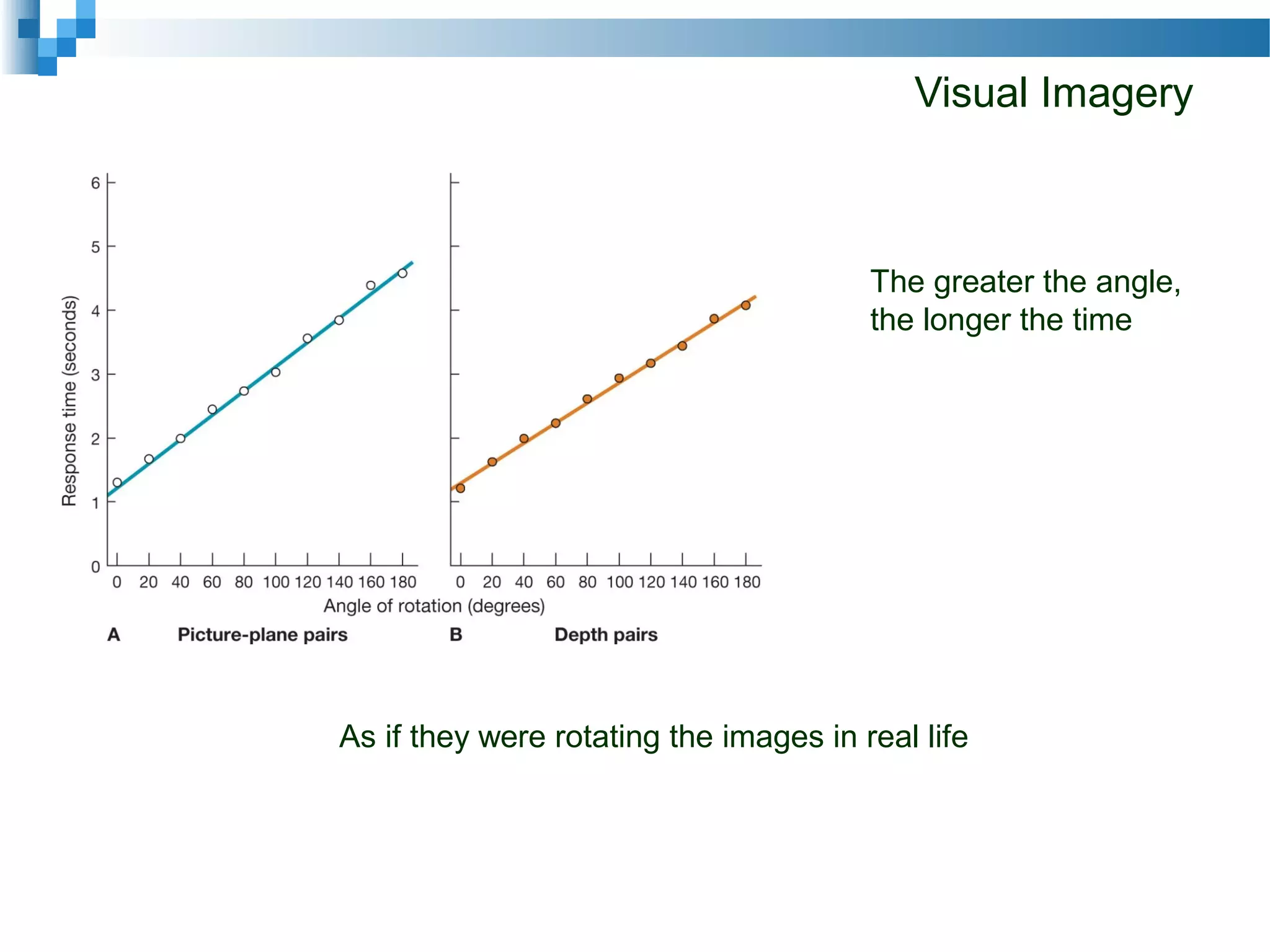 Visual Imagery
The greater the angle,
the longer the time
As if they were rotating the images in real life
 