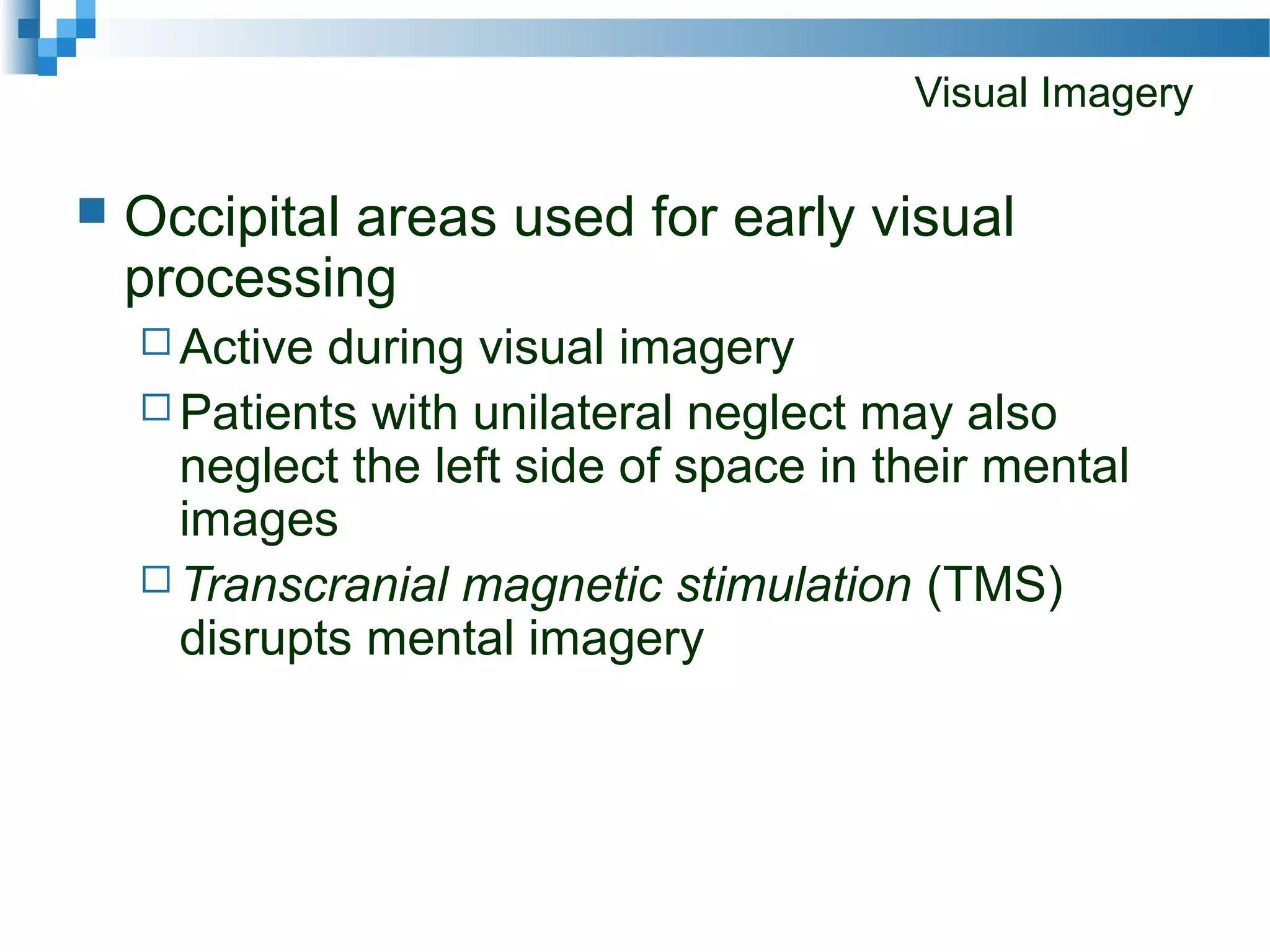Visual Imagery
 Occipital areas used for early visual
processing
 Active during visual imagery
 Patients with unilateral neglect may also
neglect the left side of space in their mental
images
 Transcranial magnetic stimulation (TMS)
disrupts mental imagery
 