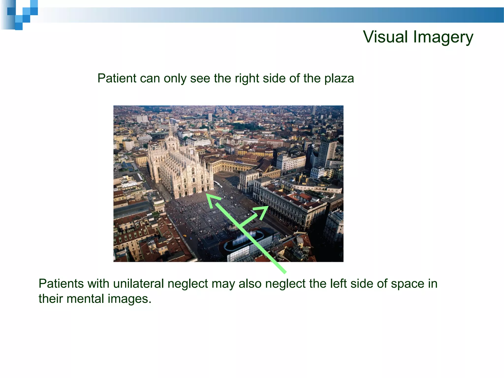 Visual Imagery
Patient can only see the right side of the plaza
Patients with unilateral neglect may also neglect the left side of space in
their mental images.
 