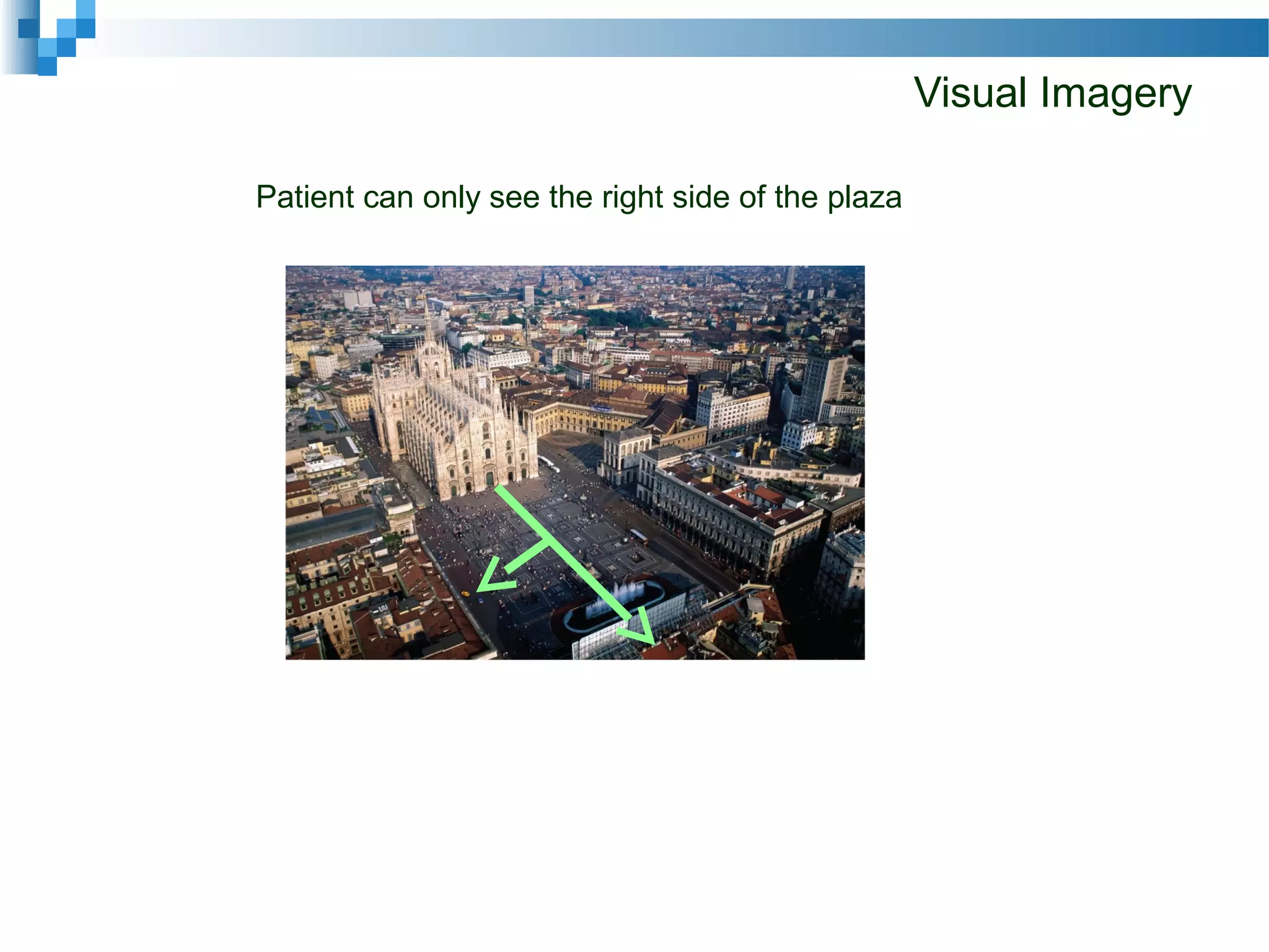 Visual Imagery
Patient can only see the right side of the plaza
 