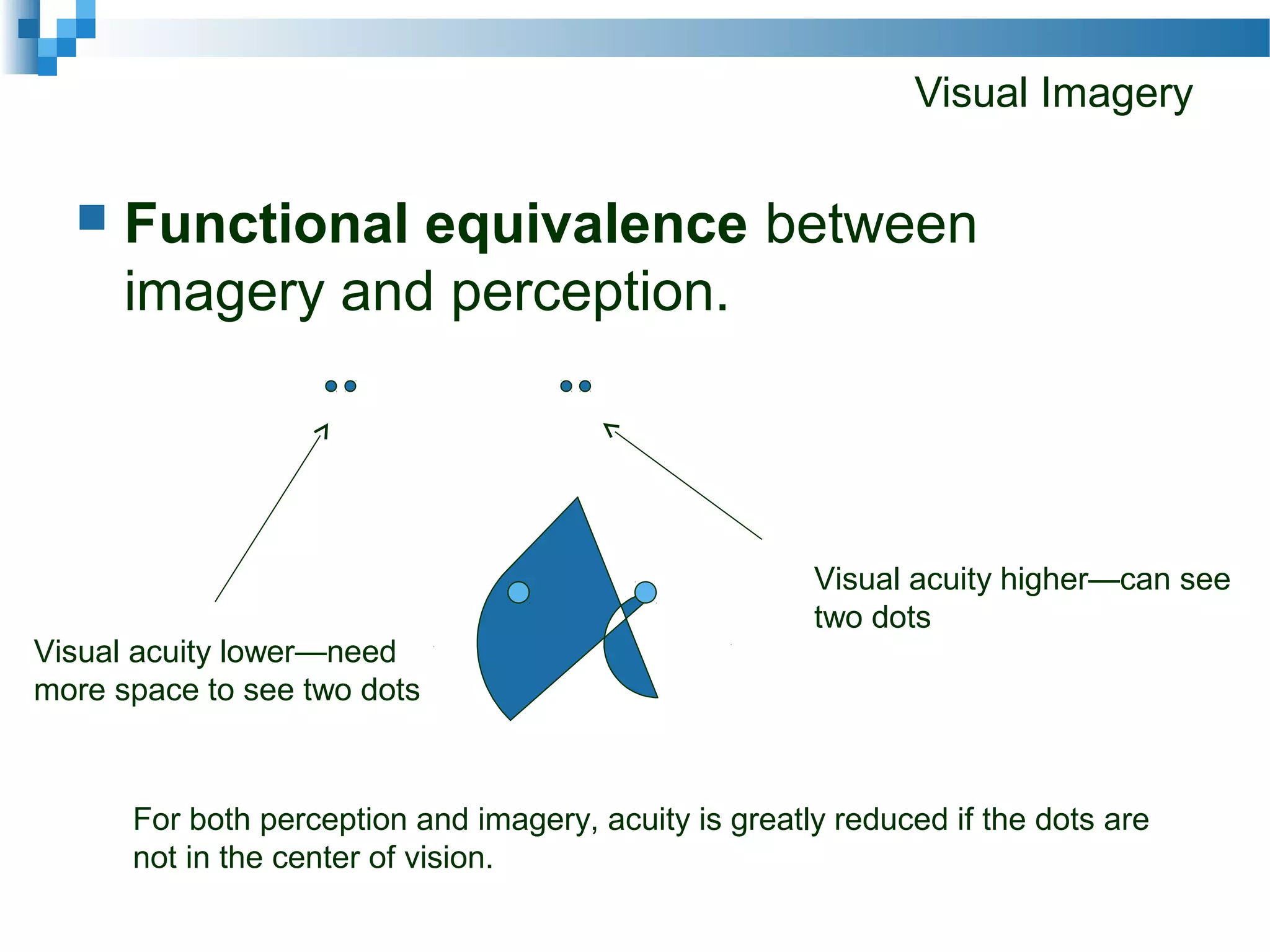 Visual Imagery
 Functional equivalence between
imagery and perception.
Visual acuity higher—can see
two dots
Visual acuity lower—need
more space to see two dots
For both perception and imagery, acuity is greatly reduced if the dots are
not in the center of vision.
 