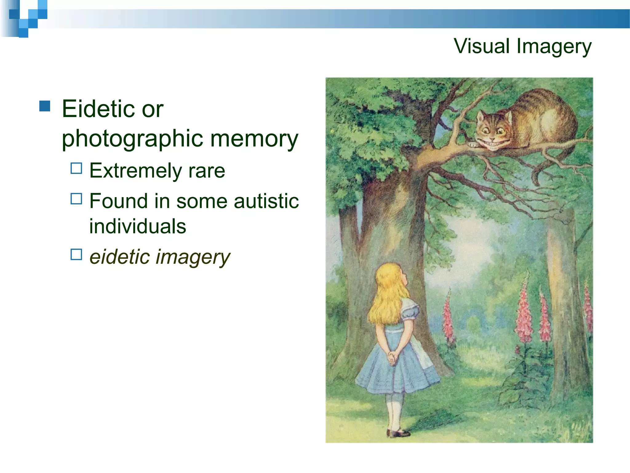 Visual Imagery
 Eidetic or
photographic memory
 Extremely rare
 Found in some autistic
individuals
 eidetic imagery
 