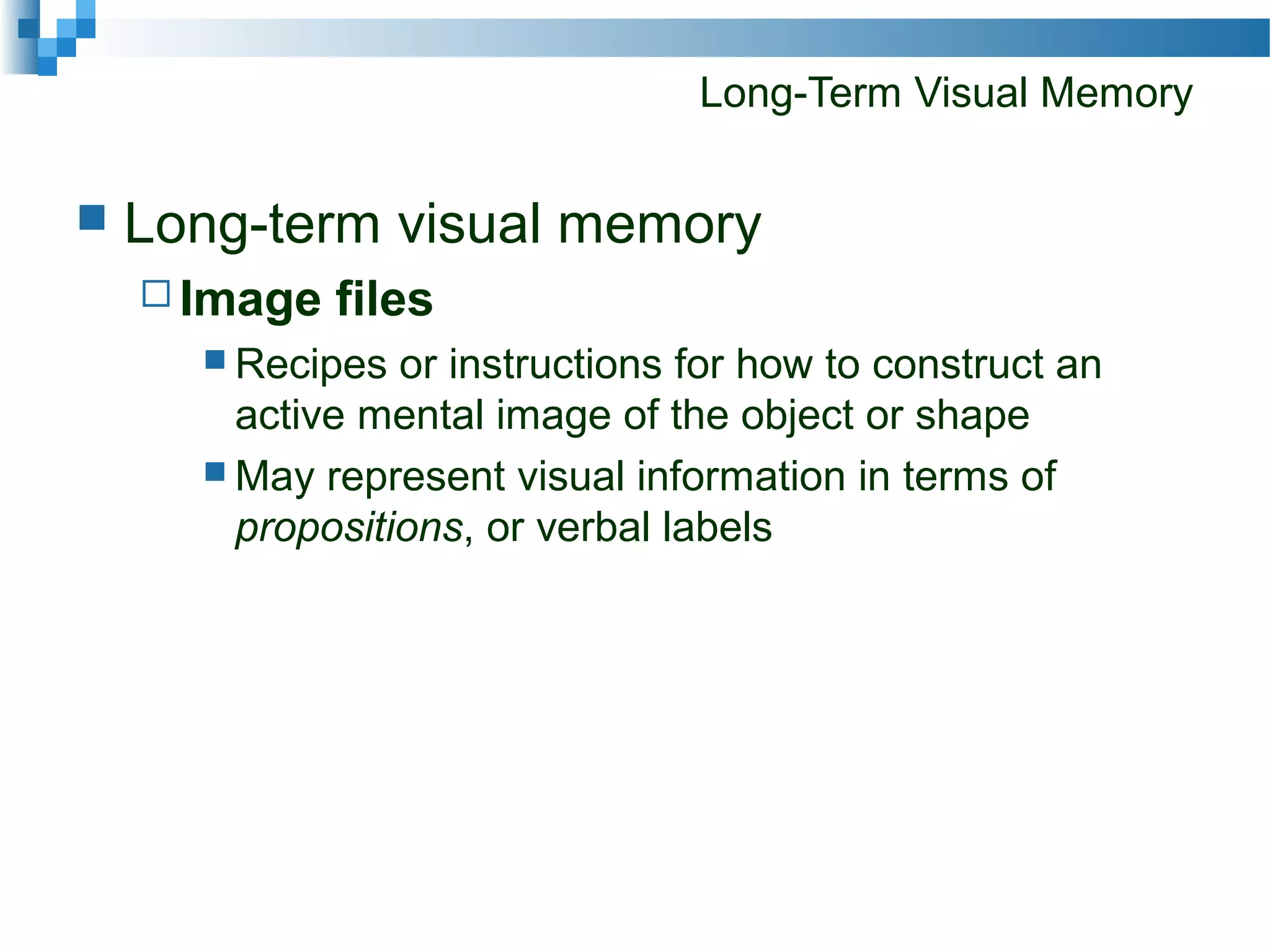 Long-Term Visual Memory
 Long-term visual memory
 Image files
 Recipes or instructions for how to construct an
active mental image of the object or shape
 May represent visual information in terms of
propositions, or verbal labels
 