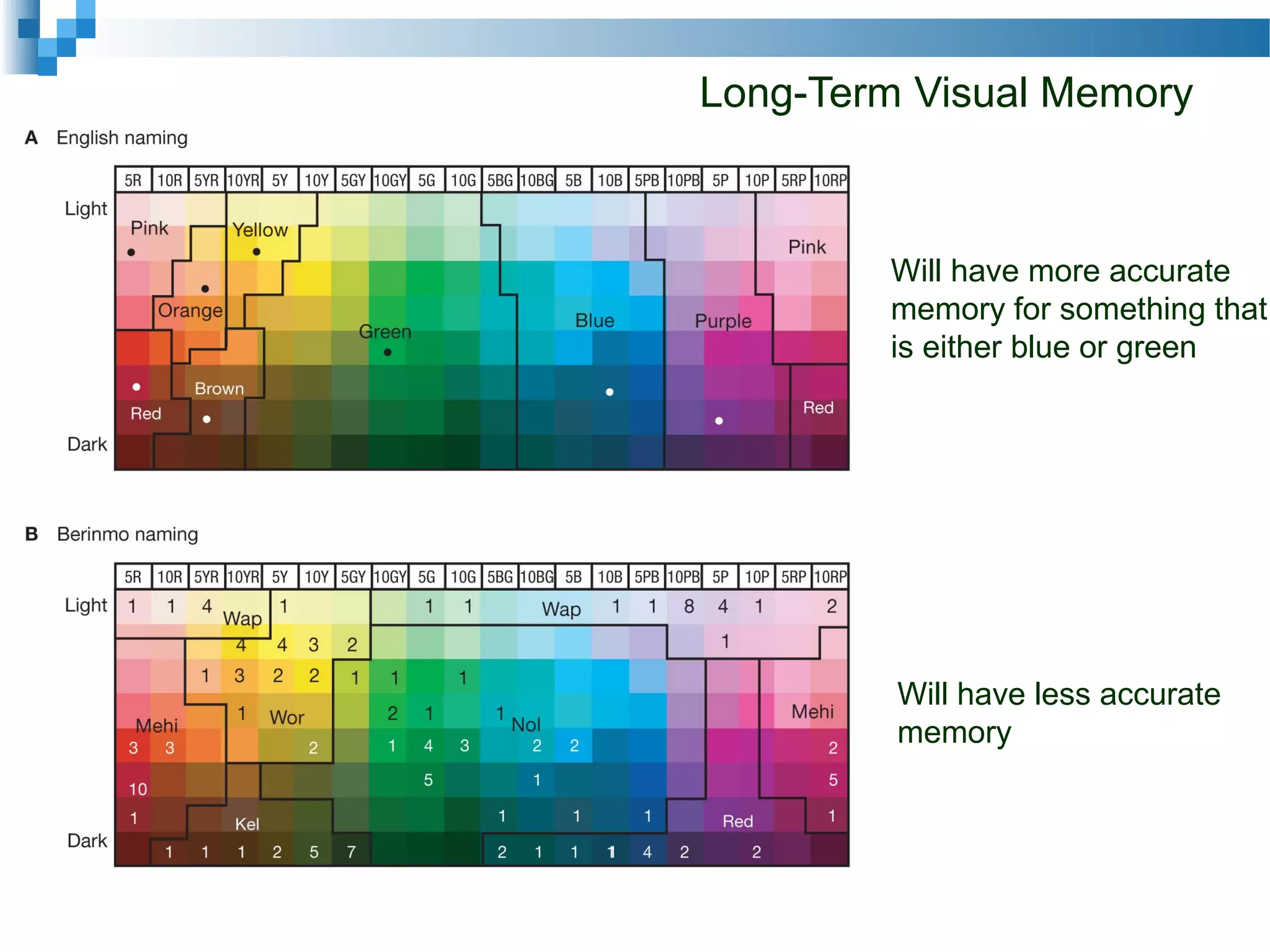 Long-Term Visual Memory
Will have more accurate
memory for something that
is either blue or green
Will have less accurate
memory
 