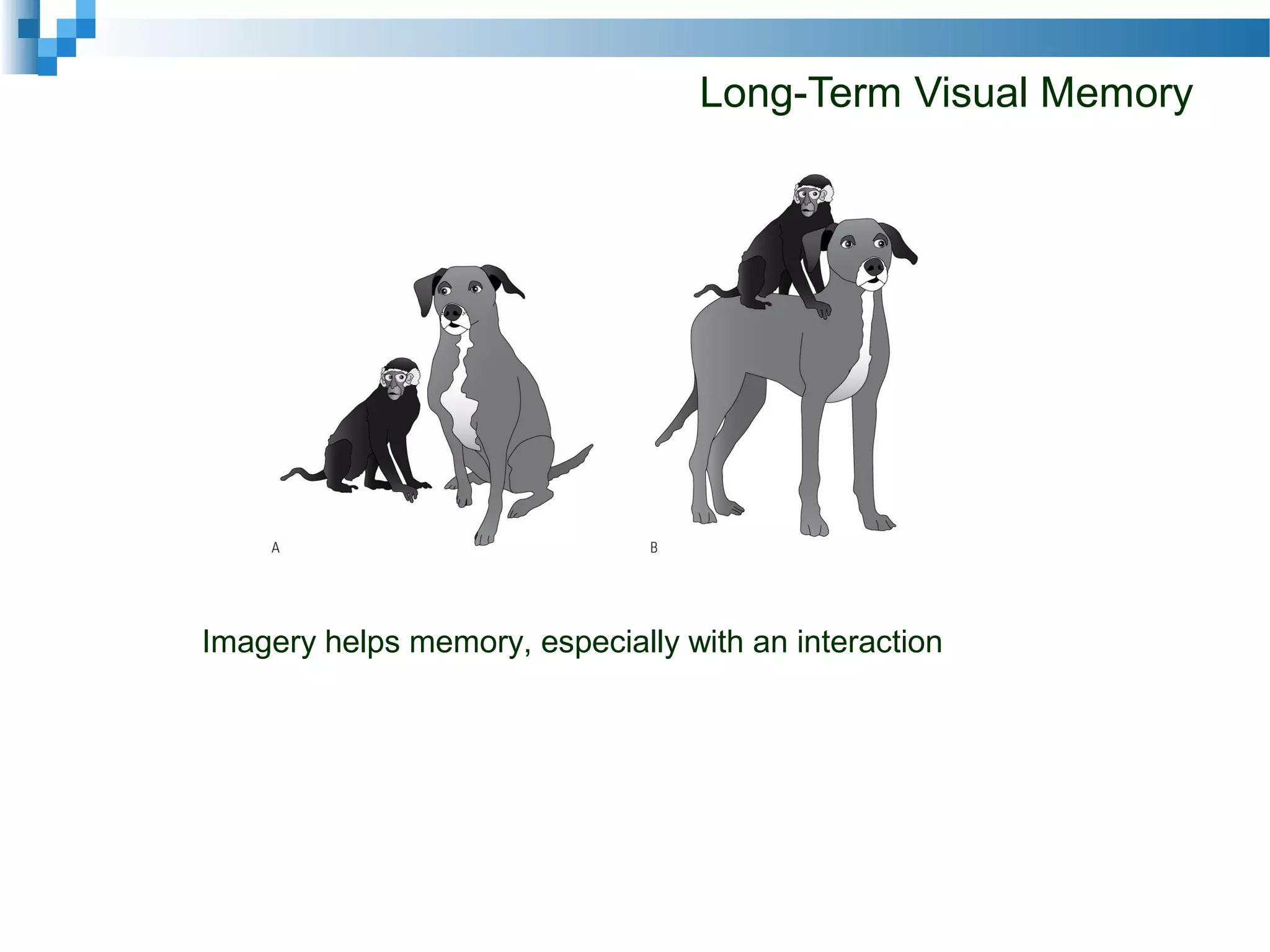 Long-Term Visual Memory
Imagery helps memory, especially with an interaction
 